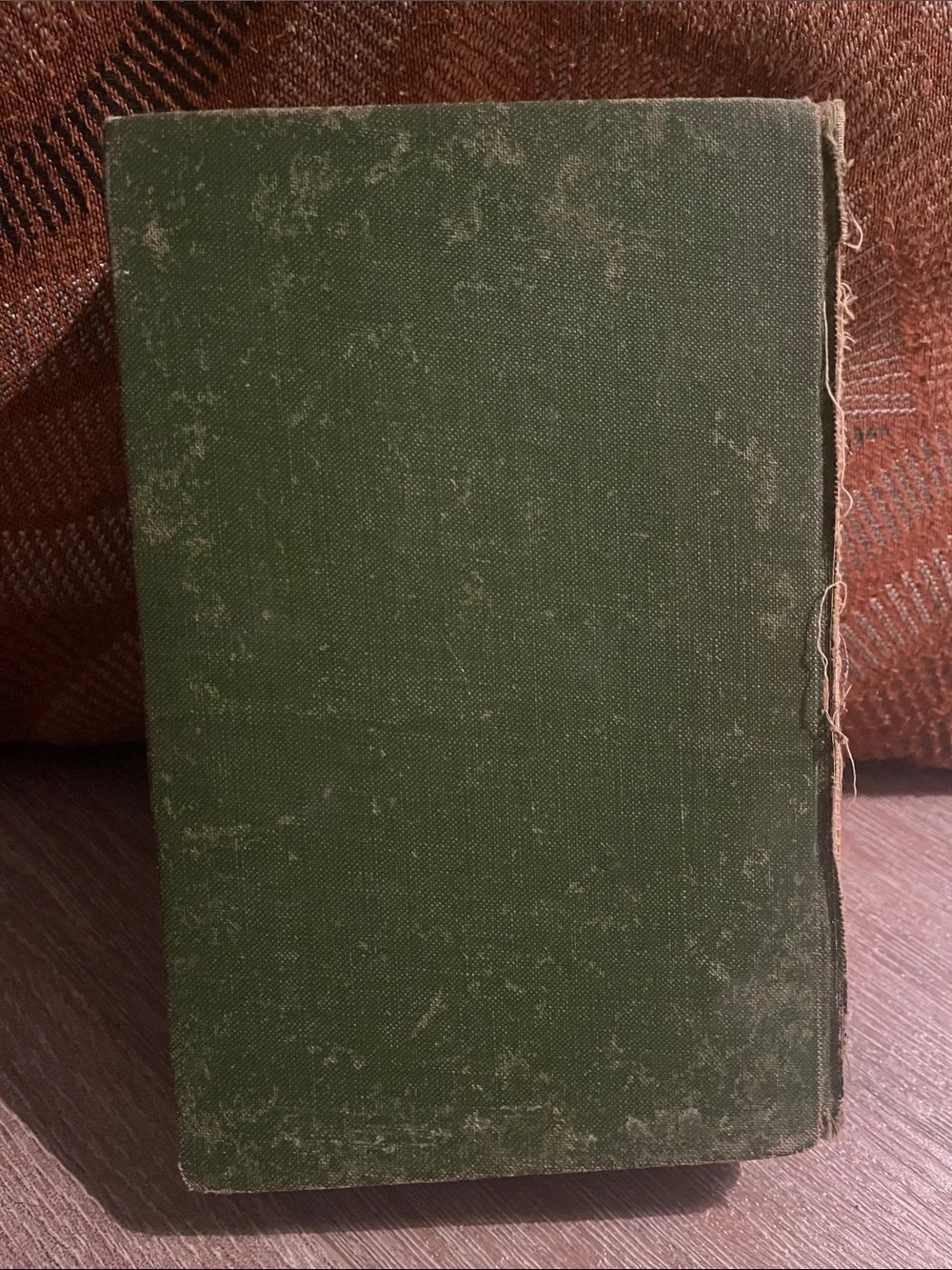 The Man of the Forest by Zane Grey 1817